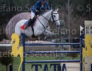 Garcia Blue Boy 2013- S5 7946 : Arezzo Equestrian Centre, Blue Boy, Garcia Juan Carlos, Toscana Tour 2013, foto di Stefano Secchi ©